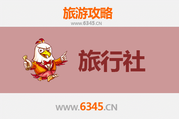 五指山畅好乡本地旅行社推荐 | 深度体验黎苗风情与热带雨林探险