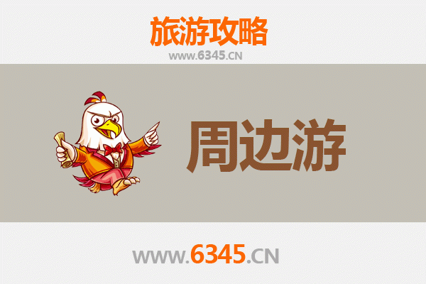 五指山畅好乡深度游：雨林秘境与黎苗文化体验全攻略